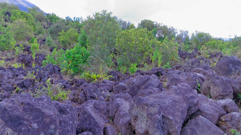 03 - Volcan Arenal (14).jpg